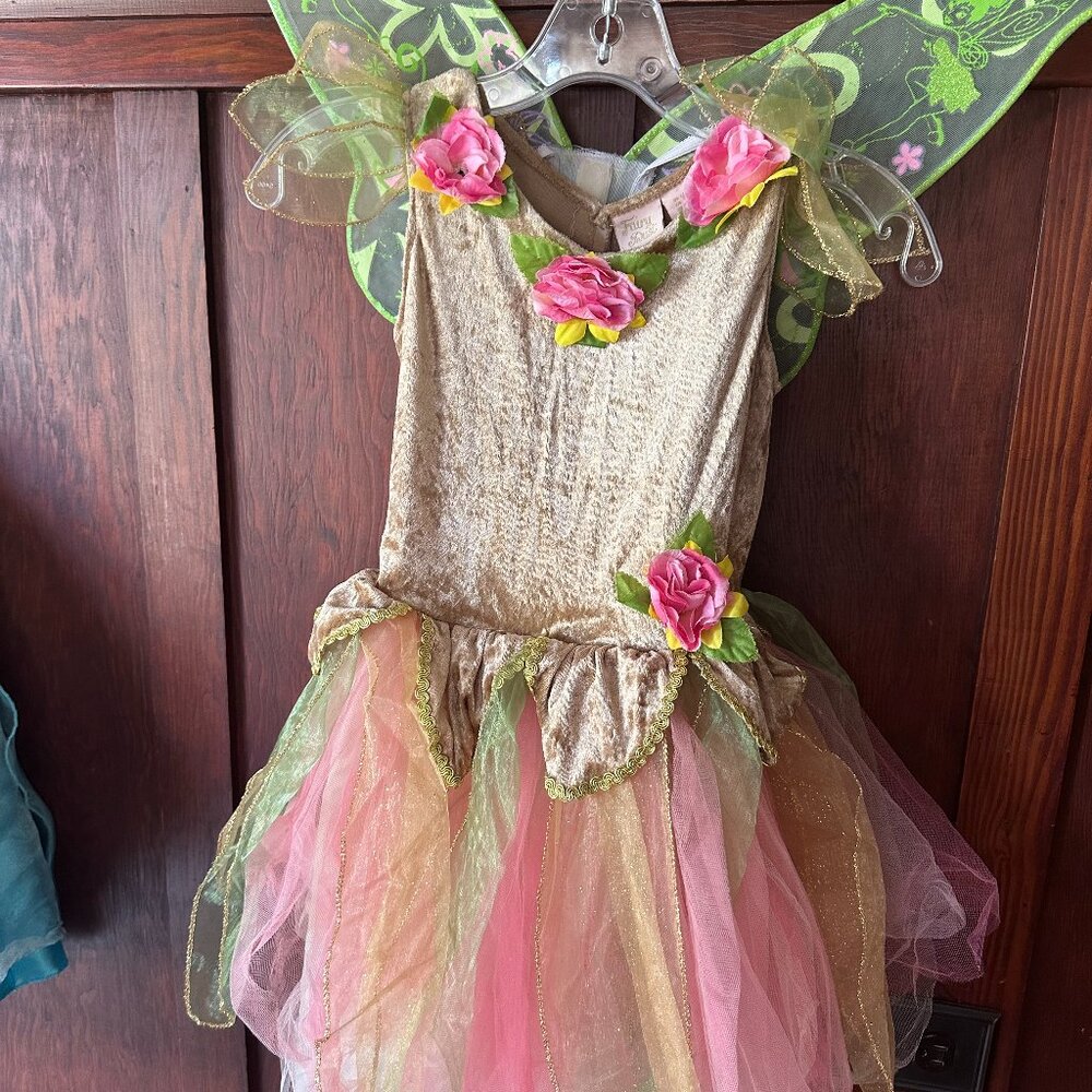 fairy costume with wings